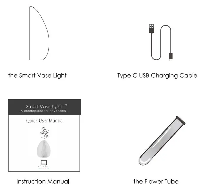 GINGKO G018WT Smart Vase Light User Manual - What's in the box