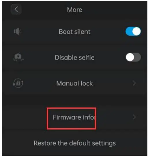 Firmware Info mode