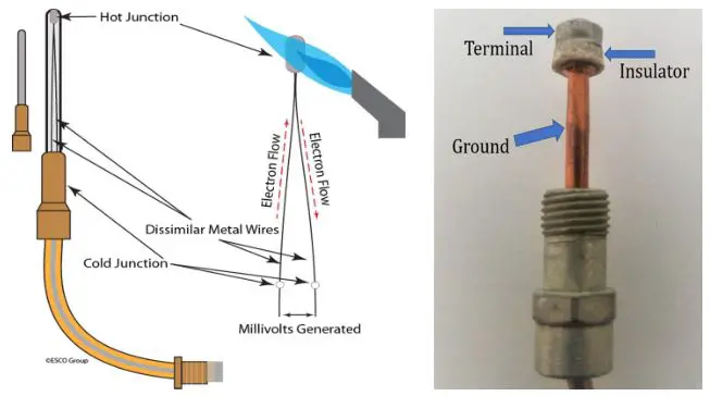 Esco Water Heaters - Thermocouple
