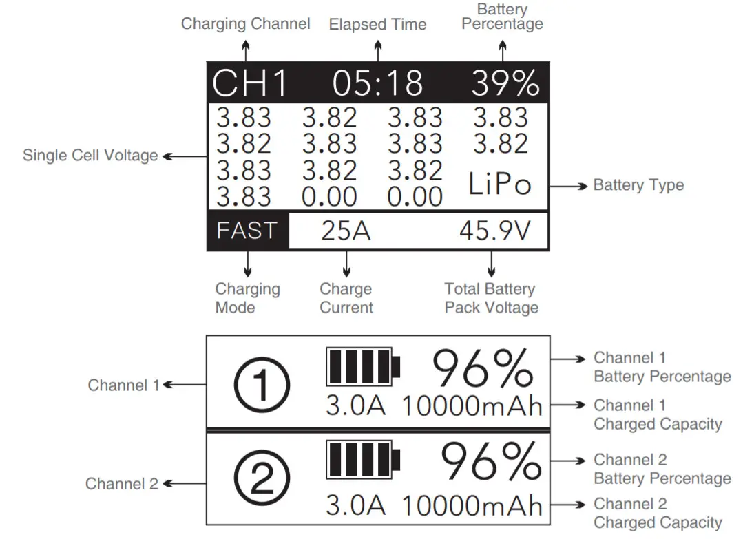 SKYRC Dual Channel Intelligent 12- abnormal state