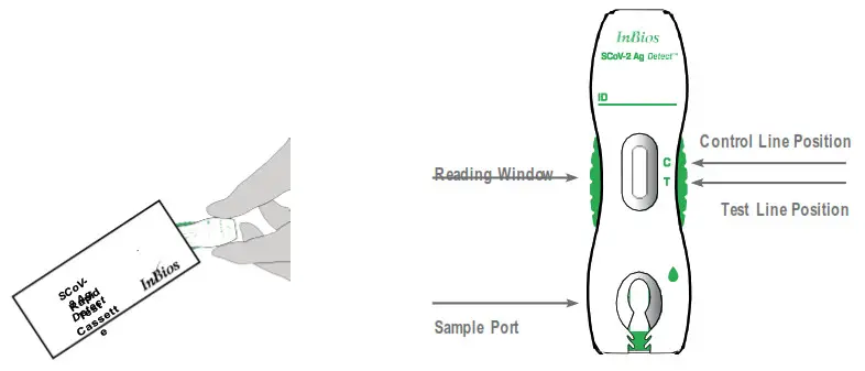 InBios SCoV 2 Ag Detect Rapid Self Test- ike a co un ter o r tableto p