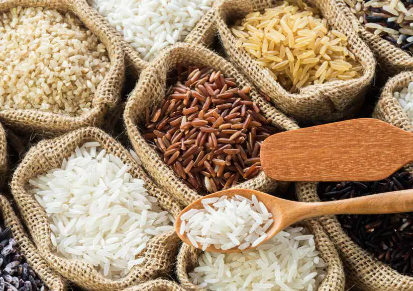 Instant INP 140 5010 01 GC Rice and Grain Cooker - Getting Started