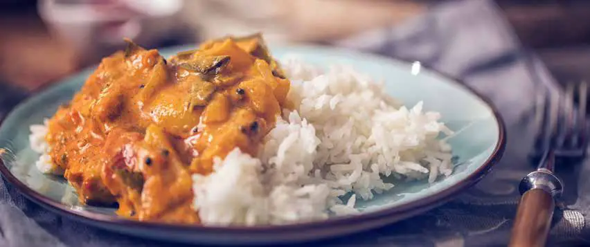 Instant INP 140 5010 01 GC Rice and Grain Cooker - small appliances