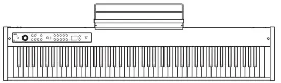 KORG D1 Digital Piano with 88 Key