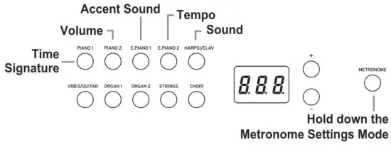KORG D1 Digital Piano with 88 Key - Fig. 5
