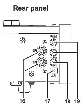 KORG D1 Digital Piano with 88 Key - Rear panel