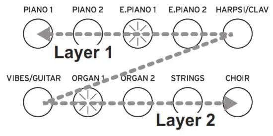 KORG D1 Digital Piano with 88 Key - diagram