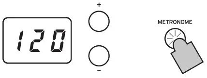 KORG D1 Digital Piano with 88 Key - metronome