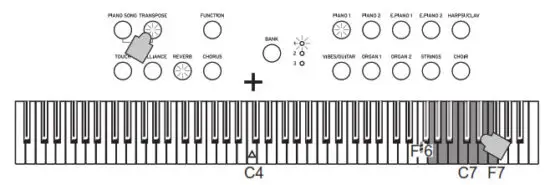 KORG D1 Digital Piano with 88 Key - settings