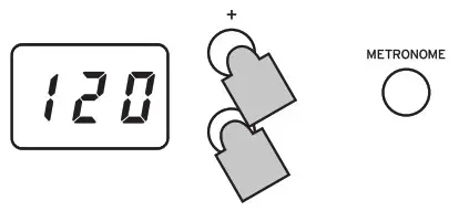 KORG D1 Digital Piano with 88 Key - tempo