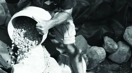 Aquascape DIY Pond Kit Instruction place to colonize.