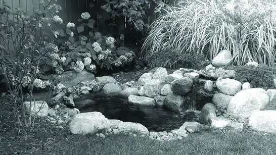 Aquascape DIY Pond Kit Instruction tENJOY!