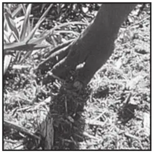 Aquascape DIY Pond Kit2 145