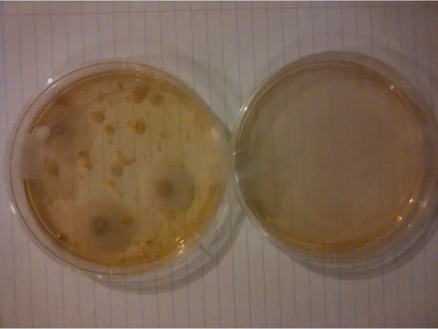 SecondWind SF102 998 Indoor Air Quality Test Kit - fig 1