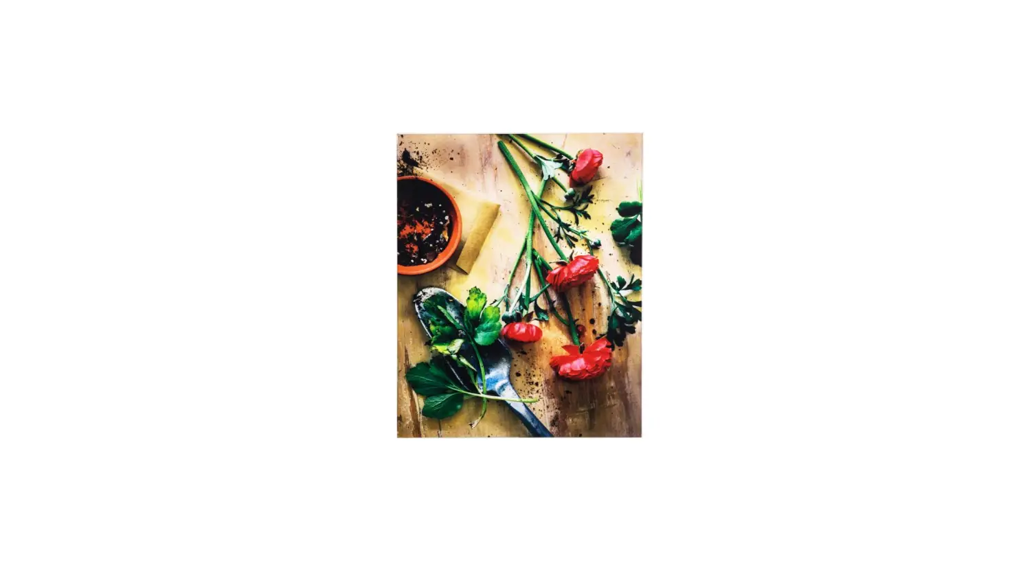 Yhd 3120086 Earthly Charm I Photo By Veronica Olson Printed On Tempered Glass User Guide