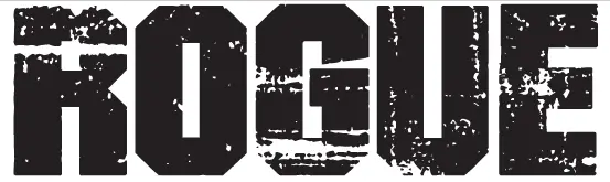 ROGUE Chauvet Pro Outcast 1L Beam logo