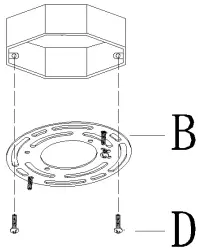 Uolfin 5-Light Matte Gold Contemporary Chandelier a05