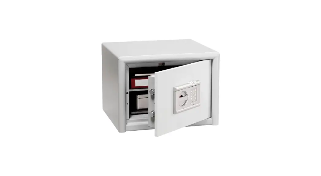 Burg Wachter Trse10 Combi-line Instruction Manual