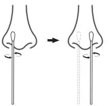 FORA COVID-19 Antigen Rapid Test Instruction Manual - Gently insert the entire absorbent tip of the swab into one nostril