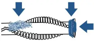 BISSELL 3192 Series Powerswift ION XRT 2-in-1 Lightweight Vacuum - Brush Roll 5