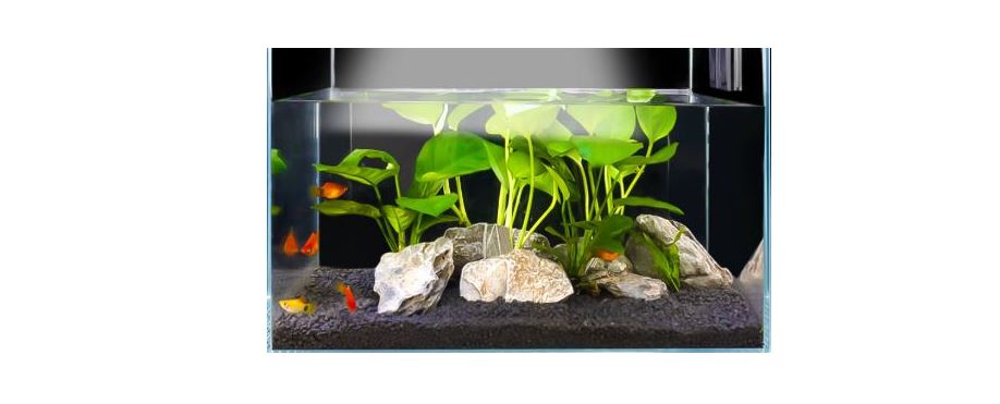 Buraq Pets 1 Ft Aquarium Light Owner's Manual