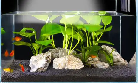 Buraq-Pets-1-FT-aquarium-Light-product