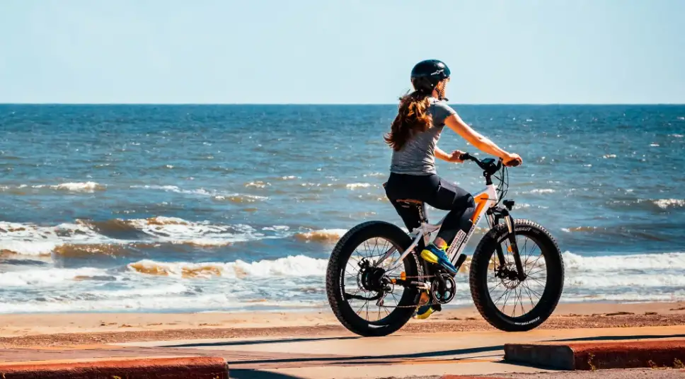 Welkin Wkes001 Folding Electric Bike User Manual