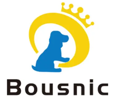 Bounsic