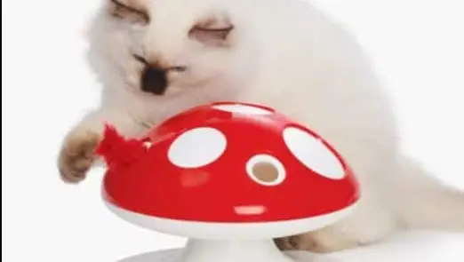 Catit 43142 Senses 2.0 Mushroom Instruction Manual