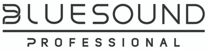 BLUESOUND BSW150 Network Powered Subwoofer -LOGO