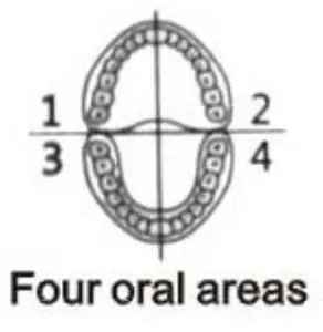 Rechargeable Sonic Toothbrush - figure 1