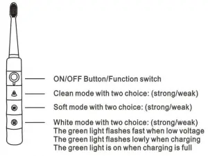 Rechargeable Sonic Toothbrush - figure 2