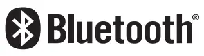 Bluetooth Logo