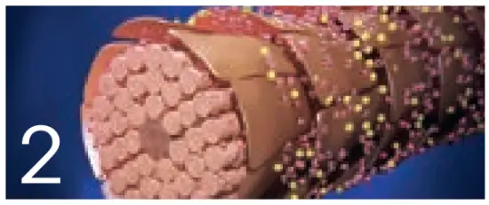 True Colour in High Definition