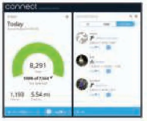 GARMIN Vivosmart 3 Fitness Activity Tracker - app1