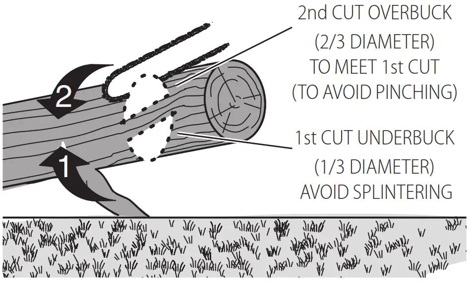 DEWALT DCCS623 20V Max Pruner Limbing1