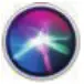Siri icon