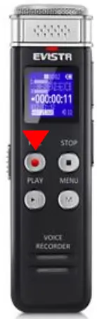 EVISTR L157 Digital Voice Recorder - recording every