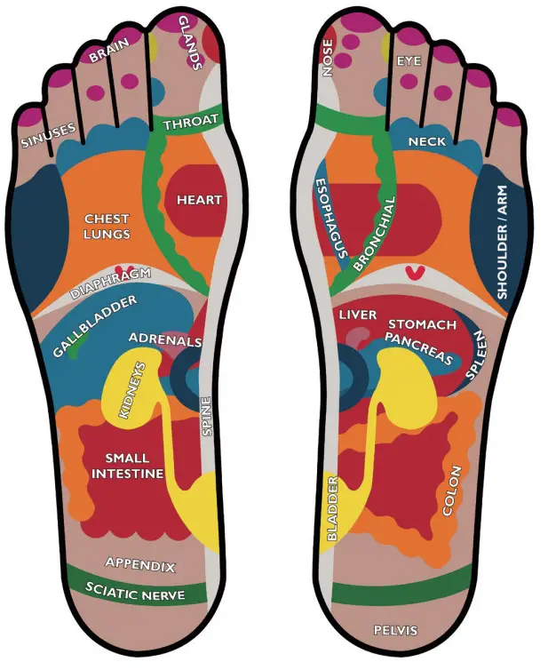 Vytaliving Circulation Maxx Reflexology Massager - Figure 10