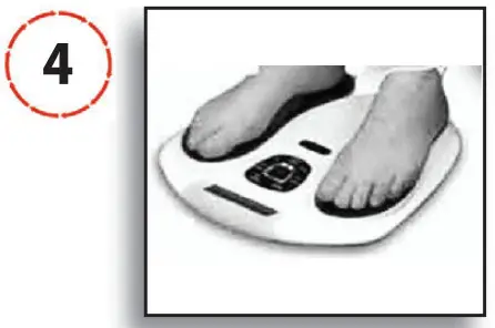 Vytaliving Circulation Maxx Reflexology Massager - Figure 4