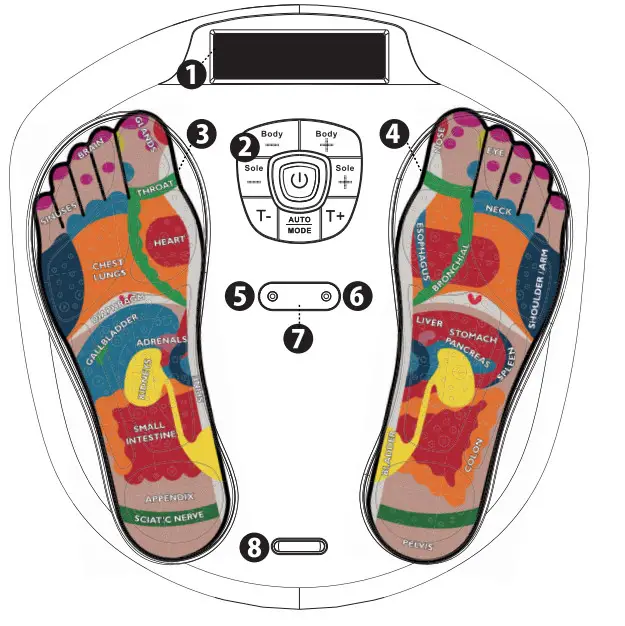 Vytaliving Circulation Maxx Reflexology Massager - Figure 8