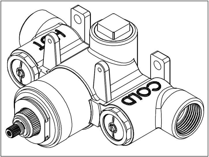 NEWPORT BRASS Thermostatic Valve and Trim