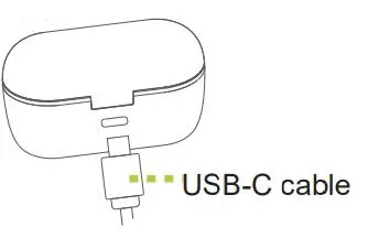 Sound By Sweden ZERO-TX TWS Headphone User Manual - USB-C cable