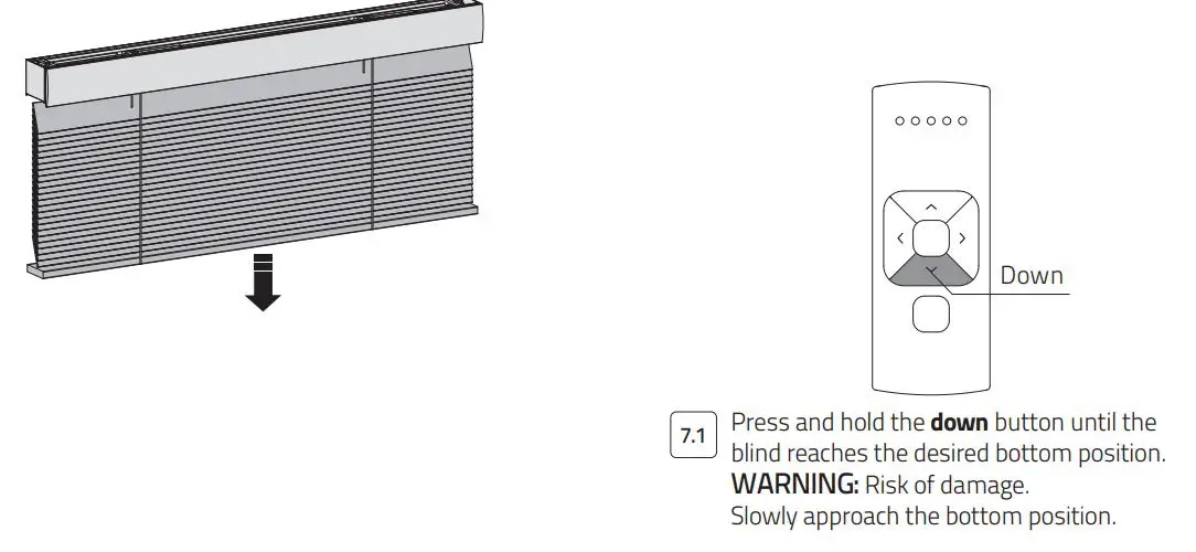 MOTION CM-06 Li-Ion Battery Powered Tube Motors With Pull and Remote User Manual - Set bottom position