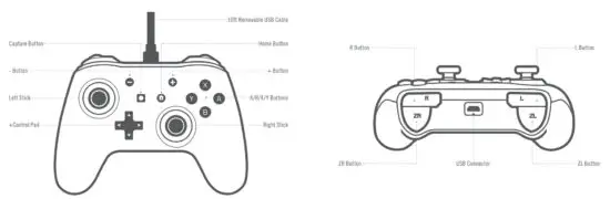 NINTENDO SWITCH 15546491 Wired Controller - Overview