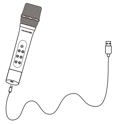 Karaoke USA WM906 Dual UHF Handheld Dynamic Wireless Microphone - A. Microphone - Charging and Use