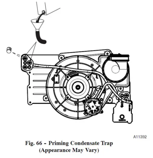 Condensate trap