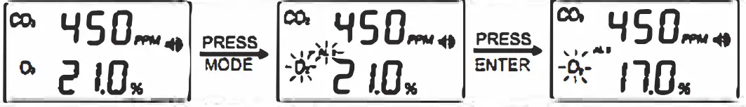 Noventi C02 Cellarwarn Duo Gas Detector - FIG 17