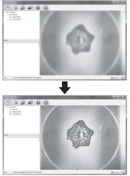 CARSON zPix 300 Digital Microscope - •