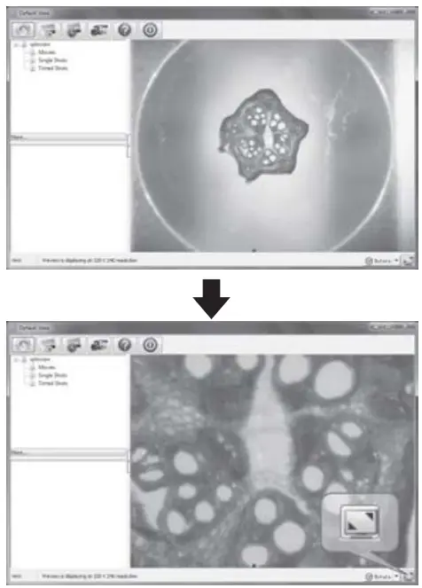 CARSON zPix 300 Digital Microscope - Zooming2